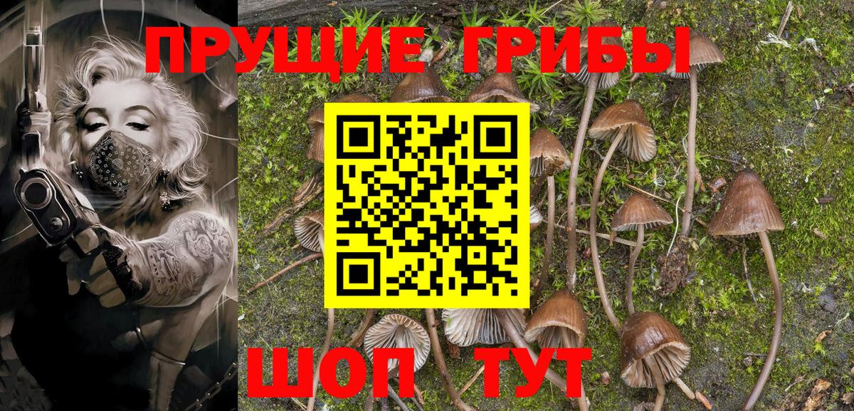 Галлюциногенные грибы GOLDEN TEACHER  Галлюциногенные грибы Psilocybine cubensis  Вход с VPN  продажа наркотиков  Джанкой 